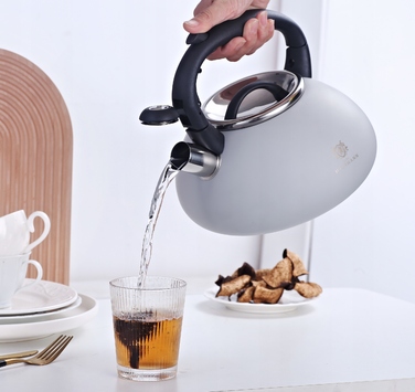 Класичний сталевий чайник Karl Hausmann, 2,7 л, сірий