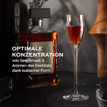 Stölzle Lausitz Liqueur Glasses Quatrophil 6-Piece Set 65ml – Elegant Snifter Glasses with Stem, ideal for Liqueurs & Spirits – High-Quality Grappa Glasses made in Germany – Dishwasher & Shockproof