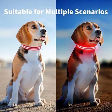 Світлодіодне нашийник для собак, перезаряджається, водонепроникний, 3 режими свічення, для великих собак (червоний)