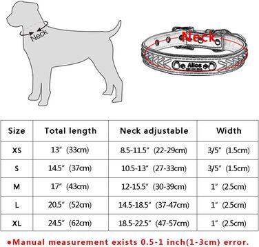 Шкіряний нашийник для собак та котів Berry з регулюванням та іменником, Rosa (L: 37-47 см)