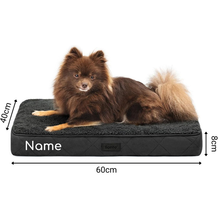 Ортопедичне ліжко для собак Lionto, 60x40x8 см, міцне, з м'яким плюшем, знімний та пральний чохол, водовідштовхувальне, для собак та котів (60x40x8 см, чорне)