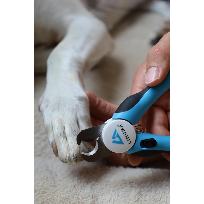 Професійні ножиці для обрізання кігтів собак, котів та дрібних тварин з нержавіючої сталі, з функцією зупинки, інтегрованим напильником та неслизькою ручкою. Підходять для початківців. Колір: блакитний