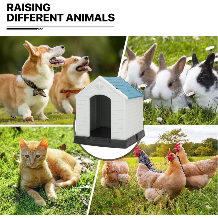 MoNiBloom Будка для собак: ізольована, водонепроникна, для будь-яких розмірів, з вентиляцією та піднятим дном, для дому та вулиці, пластик, легка збірка