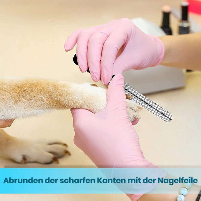 Професійні когтерізки для собак та котів Candure з пилочкою, нержавіюча сталь, 15 см, блакитні