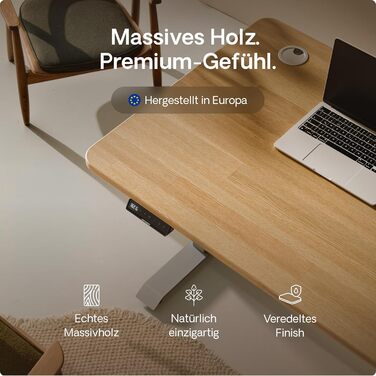 Електричний регульований стіл Desktronic HomePro 160x80 см – з двома моторами, сенсорним керуванням та USB-портами (3.6 Grey + Solid Oak)