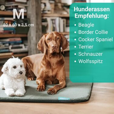 Килимок для собак у дорогу, комплект: лежанка для собак, знімний водовідштовхуючий чохол та сумка для перенесення, придатний для прання, розмір 100x70x3,5 см, вага 1080 г (M, Антрацит Aqua)