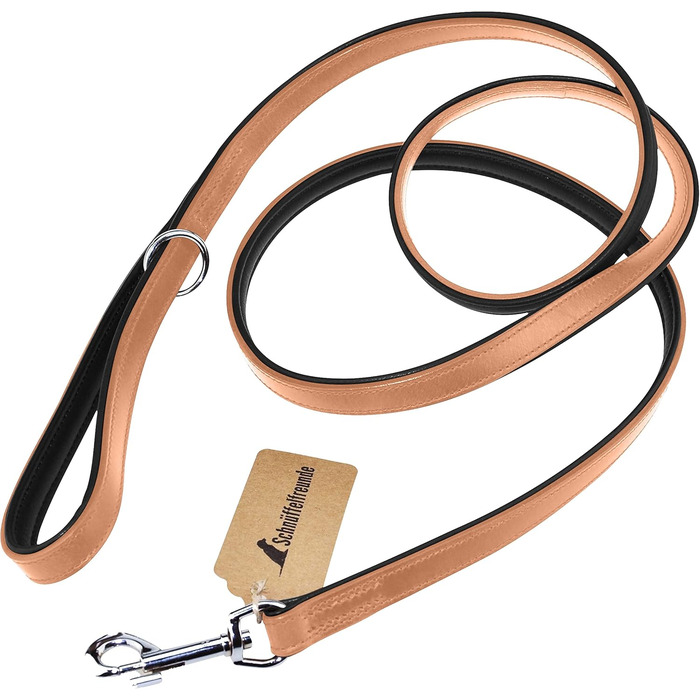 Leather Dog Leash - Training Leash - Leather Leash for Dog - Leash 3-Way Adjustable, for all Dogs (180cm, Beige)