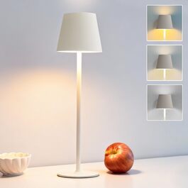 Настільна світлодіодна лампа DEELUX акумуляторна, димова, з регулятором яскравості, 3 режими світла (2700K/3600K/5000K), USB-C, водонепроникна IP44, для дому та вулиці