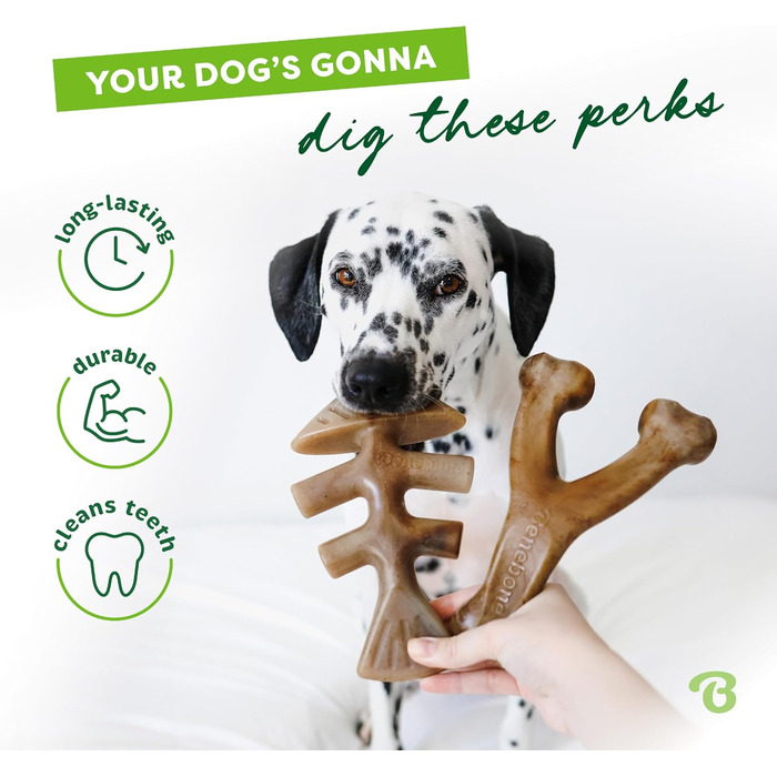 Benebone Indestructible Dog Chew Toy Gift Box for Aggressive Chewers with Wishbone, Fishbone, Stick & Zaggler, Long-Lasting Boredom Buster, Flavored, for Small Dogs, Made in (Fishbone/Wishbone, Medium)