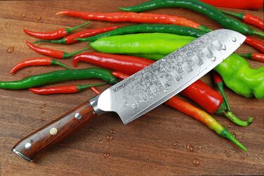 Кухонний ніж Santoku з дамаської сталі 17,6 см, 67 шарів, надгострий, нержавіючий Damaszener DI-серія