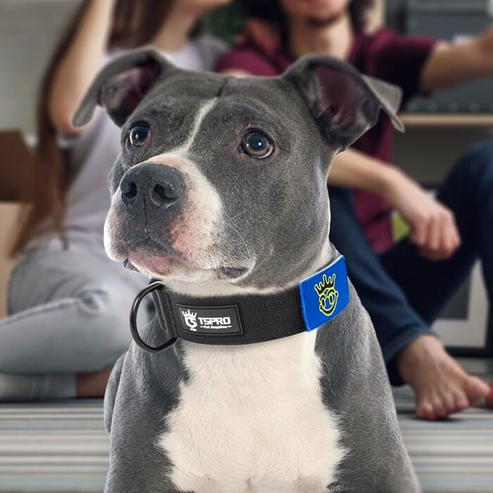 Преміум нашийник для собак TSPRO з нашивкою, тактичний, чорний, M (38.1-45.7 см)
