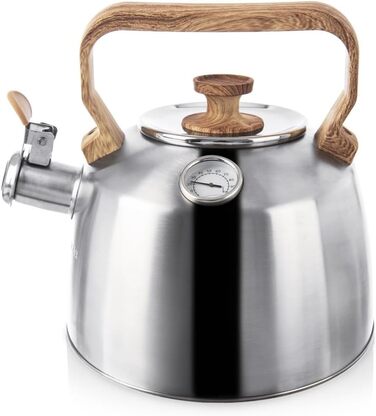 Електричний чайник зі свистком з нержавіючої сталі з термометром, 3.2 л