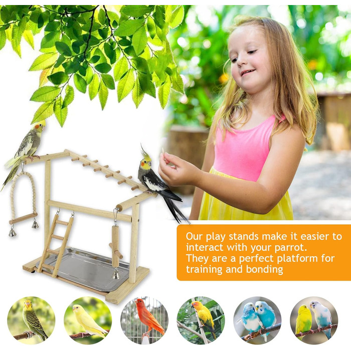 Bird Playground, budgie toys, bird stand, bird gym, bird accessories, playground, ladder, exercise pen with feeder cups, tray, swing for parakeets, canaries, finches, etc. #9