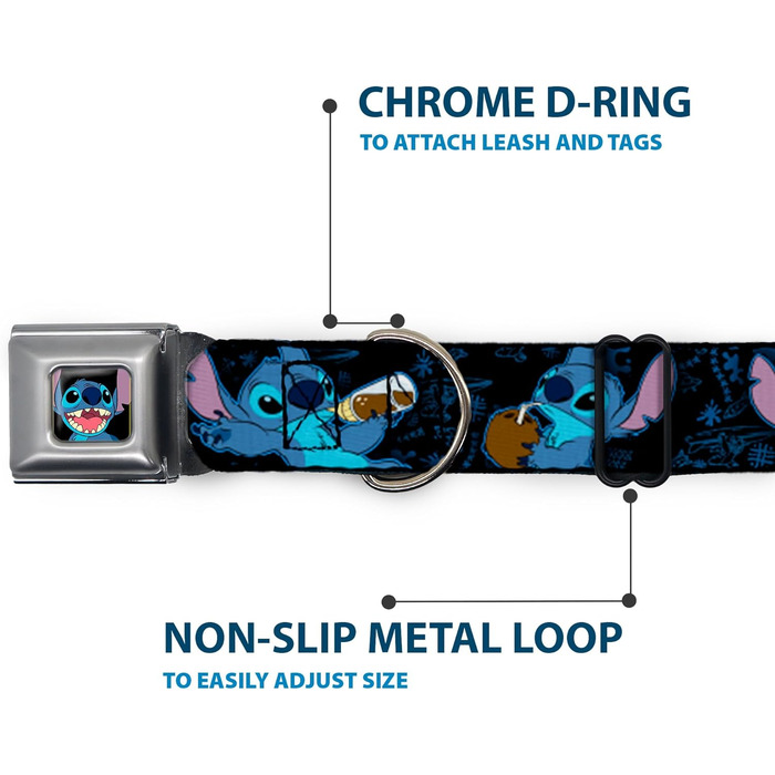 Нашийник для собак Buckle-Down з пряжкою - чорний/синій, 1 дюйм, для шиї 38-66 см - великий