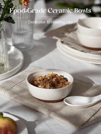 Набір мисок DOWAN для мюслі, супів та салатів (6 шт., 680 мл та 300 мл)