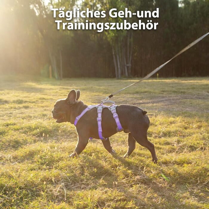 Шлейка для собак Huntboo, безпечна та надійна, з відбиваючими елементами та м'якою ручкою, регульована жилетка для маленьких собак, для прогулянок та тренувань (S, Лавандово-фіолетовий, упаковка з 1)