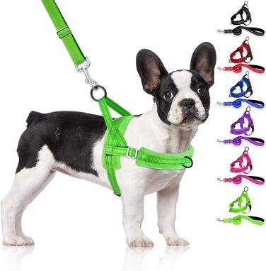 Нашийник для собак LowTon з повідком, анти-тягнучий, відбиваючий, безпечний, проти заплутування, для маленьких та середніх собак та цуценят, чорний (XXS, темно-зелений)