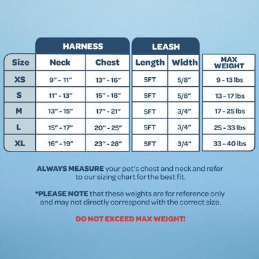 Шлейка для собак Voyager з регулюванням та світловідбиваючими смугами Best Pet Supplies - міцна жилетка для собак без натягу з кільцем для повідка, дихаюча, фуксія, розмір S (Обхват грудей: 15-18 дюймів) (Шлейка (Лаванда), XL (Обхват грудей: 23-28 дюймів)