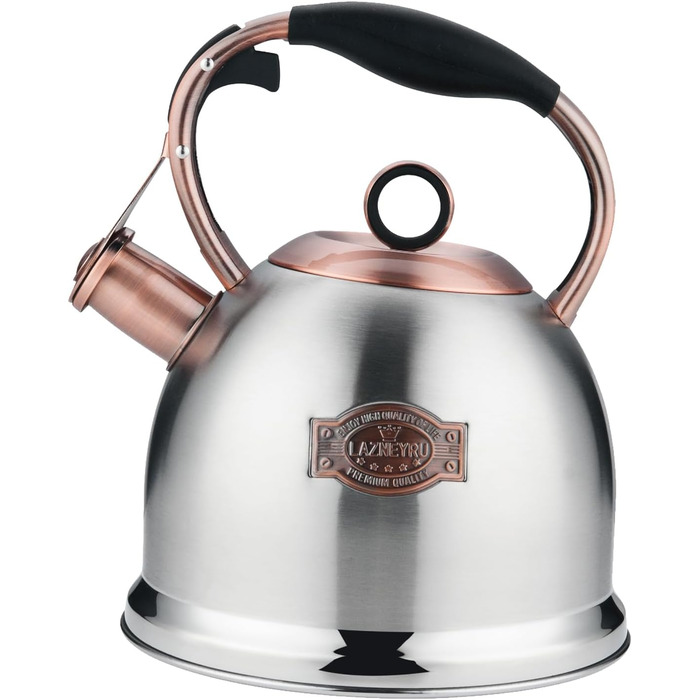 Чайник-свисток 3л з нержавіючої сталі, індукційний, з термостійкою ручкою (срібний)