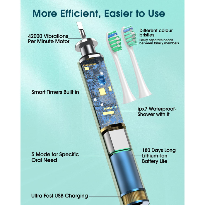 Електрична зубна щітка для дорослих з 6 насадками, акумуляторна звукова, 180 днів роботи, світло-зелена