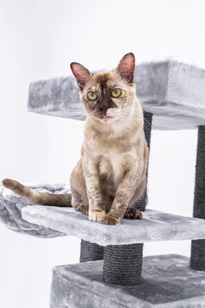 Котячий будиночок Petrebels Cleopatra: когтеточка, лежанка, печера, 134 см, бежевий/сірий