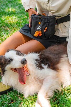 ОлліДог Backcountry Tagestasche - сумка для ласощів та відходів для собак, з кліпсою на пояс, Raven S'25