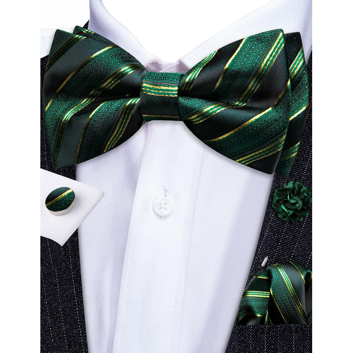 Комплект краватки та хустинки Barry.Wang Paisley, чоловічий, для весілля та урочистих подій (Зелено-чорний)