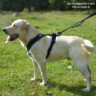Нашийник для собак ILII Y - міцний, елегантний та комфортний. Унікальний дизайн для середніх та великих собак. Чорний, мінімальне покриття