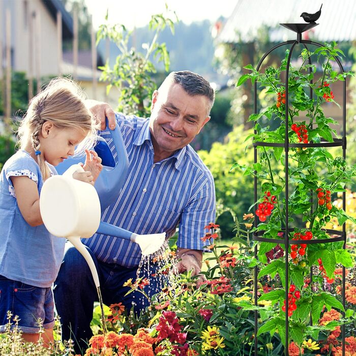 SUNYRISY Plant Support Trellis Obelisk 3-Piece Set, Climbing Plant Trellis Cages for Climbing Plants such as Flowers, Tomatoes, Roses, etc., Weather-Resistant Coated Metal Garden Decoration
