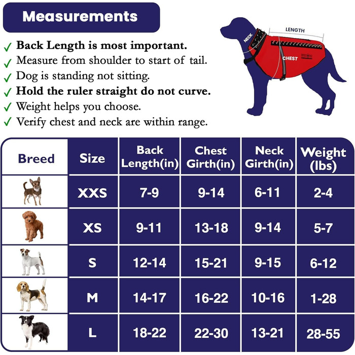 Жилет CoyoteVest SpikeVest для собак, захисний жилет з шипами для маленьких собак, розмір Medium, колір Royal Blue (Королівський синій)
