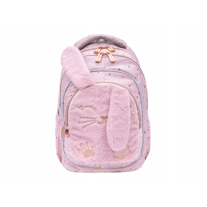 Багатокамерний шкільний рюкзак AstraBag, рожевий, 20 л