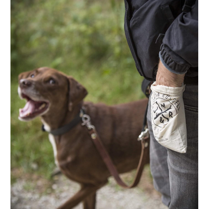 Преміум шкіряний нашийник для собак Jack Russell Lilly - нашийник з натуральної шкіри Kalbleder (S, Коричневий/Чорний) - розмір S, обхват 32-39,5 см