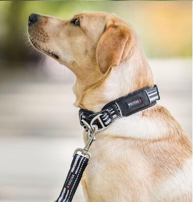 Нашийник для собак Wolters Active Pro, розмір 35-40 см, чорний