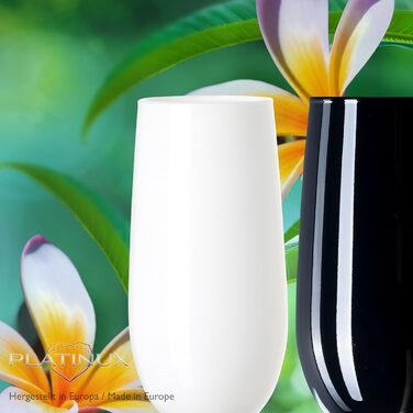 Набір келихів для шампанського PLATINUX Black & White (6 шт., 210 мл)