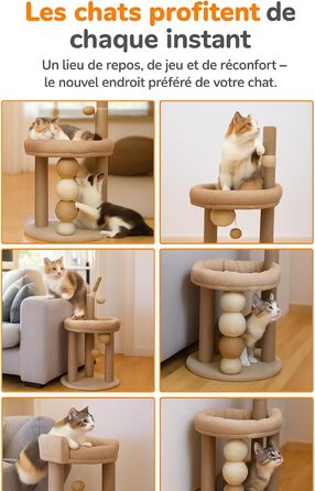 Дерево-подвір'я для котів 