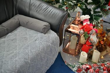 Крісло-ліжко для собак Raikou: комфортне місце для відпочинку, захист дивану та багажника, антиковзаюче покриття, легко миється, підходить для собак великих та маленьких порід (70x90 см, світло-сірий)