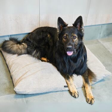 4L Textil ZOE - М'яке собаче ліжко з тканини Corduroy, 60x50 см, бежеве (смужки)