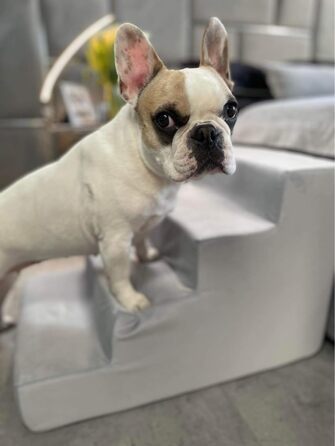 Сходинка для собак Velinda з 4 сходинками, також підходить для котів. Допомога у входженні для домашніх тварин. Матеріал: пінопласт. Колір: темно-синій