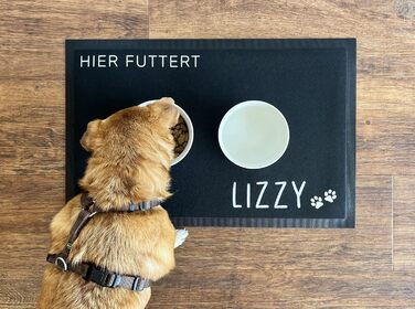 Підставка під миску для тварин з іменем | Килимки для собак та домашніх тварин | Різні розміри | Нековзні | Фетрова поверхня | Годівниця (35x50 см)