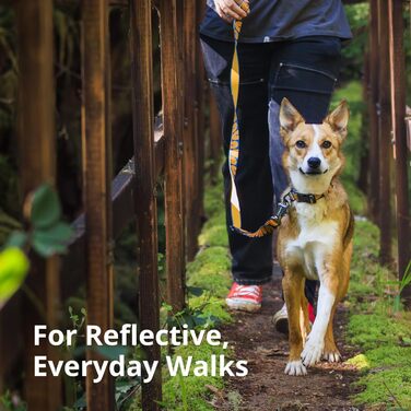 Нашийник для собак RUFFWEAR Crag, середній, 36-51 см, з алюмінієвим кільцем V, регульований, м'який, преміум-якість, для собак з можливістю підключення повідка