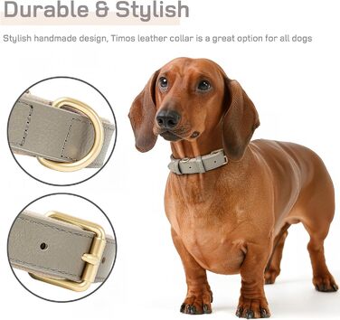 Шкіряний нашийник для собак Heele: надійний, з м'якою підкладкою, регульований, для великих собак, сірий (1 шт.)