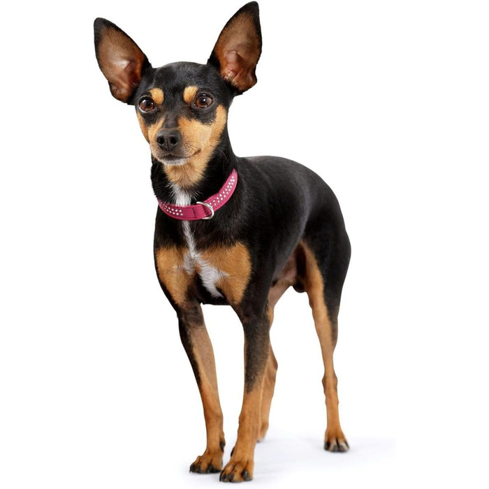 Нашийник для собак Hunter Diamond Petit, шкіряний, зі стразами, рожевий/чорний (S, 42 см)