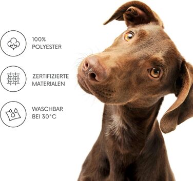 Лежанка для собак Leo 100x60x5 см та килимок 60x100 см, антрацит, знімний чохол, м'яка підкладка