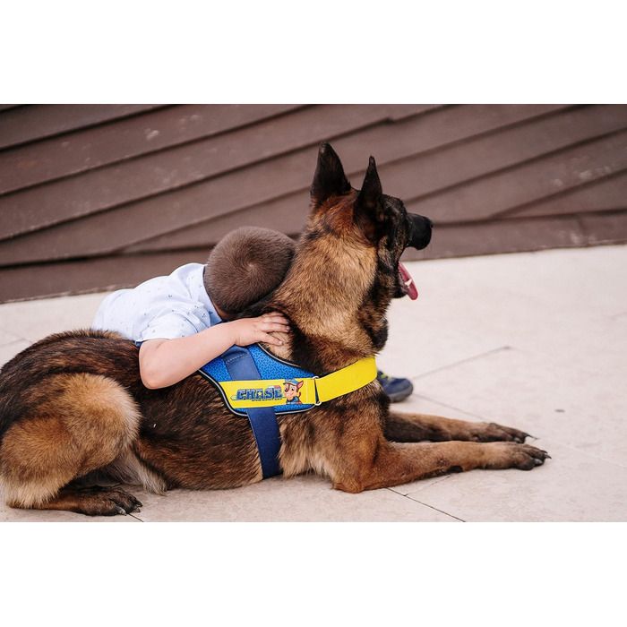 Нашийник для собак Paw Patrol JK9, розмір XS/Mini-Mini, Чейз