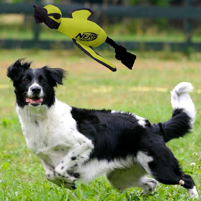 Інтерактивна іграшка для собак Nerf Dog, велика качка з нейлону, зелена