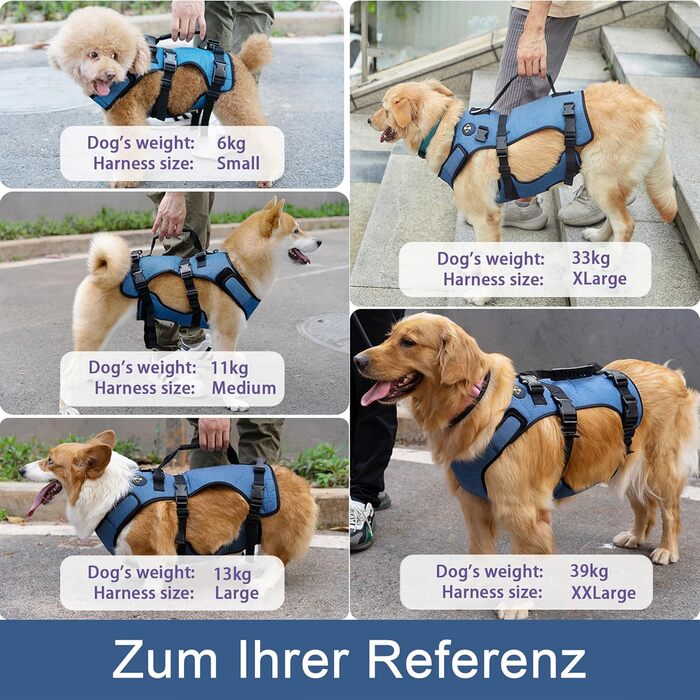 Підтримка для собак COODEO - дихаючий реабілітаційний пояс для літніх собак з проблемами суглобів, артритом або паралічем, повна підтримка тіла з регульованими ручками (Блакитний, L)