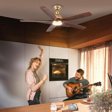 Дзеркальний вентилятор для стелі з дерева, без освітлення, з пультом керування, тихий, для вологого приміщення, 132 см (52 дюйми), коричневий, 5 лопатей