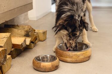 Lotte Holznapf Mandira 650ml Ceramic Dog Bowl - Brown