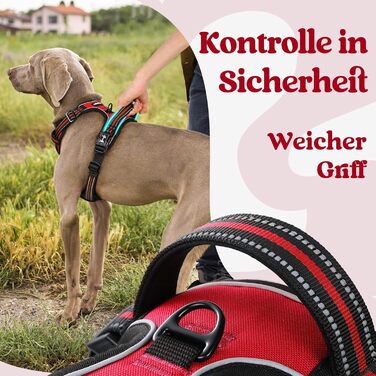 Нашийник для собак Rabbitgoo, великі породи, регульований, анти-тяга, з ручкою, м'який, світловідбиваючий, червоний, L (1 шт.)