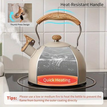 Чайник Teekessel 2.7л з дерев'яною ручкою, гучний свисток, нержавіюча сталь, антикорозійний, для всіх плит (2.5л)